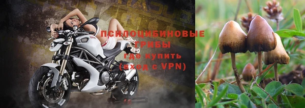 гидропоника Алзамай