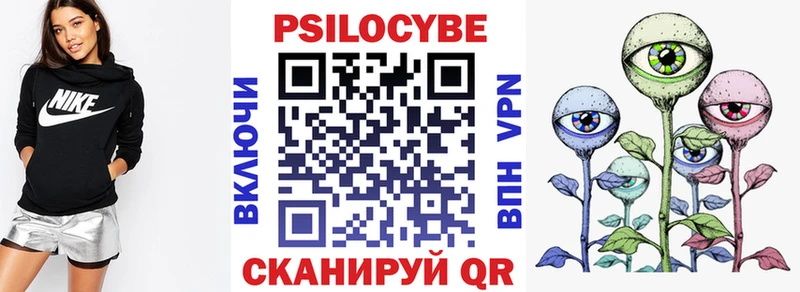 Галлюциногенные грибы Psilocybe Белоусово